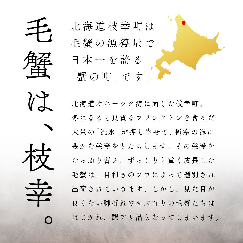 【キズ有・ご自宅品】かに 北海道 枝幸産 毛蟹【送料無料】 お取り寄せグルメ