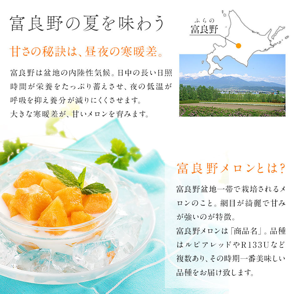 予約開始　夏ギフト 富良野 メロン 秀品 送料無料 北海道 産地直送 フルーツ 果物【農作物】【島の人】【お取り寄せグルメ】御中元 お取り寄せグルメ ギフト 北海道 食べ物 食品 ふらの 果物 グルメ フルーツ