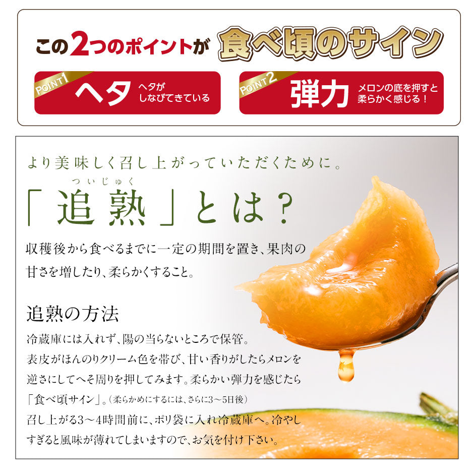 予約開始　夏ギフト 富良野 メロン 秀品 送料無料 北海道 産地直送 フルーツ 果物【農作物】【島の人】【お取り寄せグルメ】御中元 お取り寄せグルメ ギフト 北海道 食べ物 食品 ふらの 果物 グルメ フルーツ