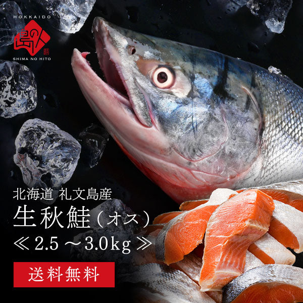 北海道 礼文島産 生 秋鮭 オス 2.5〜3.0kg前後 (姿)【送料無料】