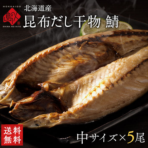 サバ 北海道標津産 鯖(サバ) 5尾セット【送料無料】