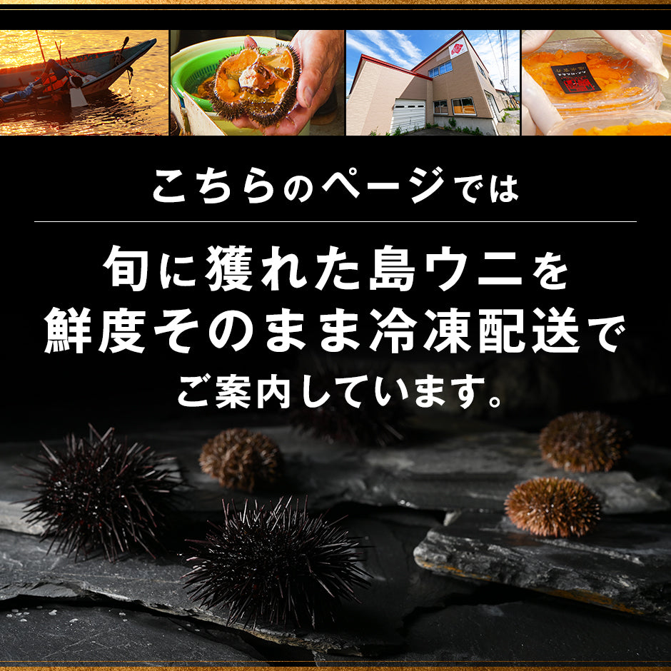 北海道 礼文島産 旬凍　無添加 ムラサキウニ＆バフンウニセット(うに丼2杯分)【送料無料】