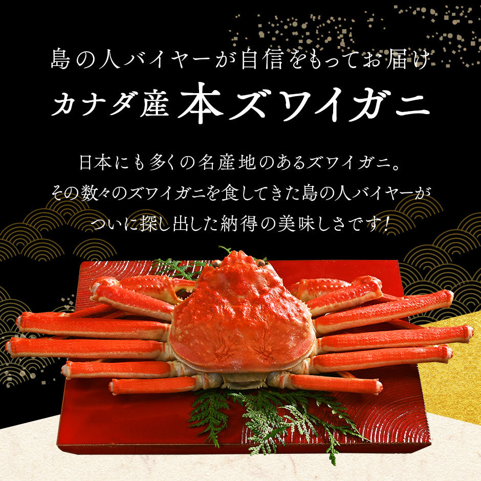 本ズワイガニ(姿)【送料無料】