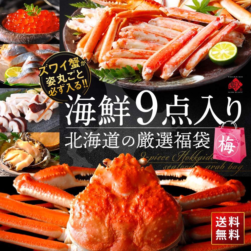 【総重量1.7kg】＼ズワイガニが必ず入る！／2025 北海道 カニ入り海鮮9点福袋 【送料無料】【期間限定】