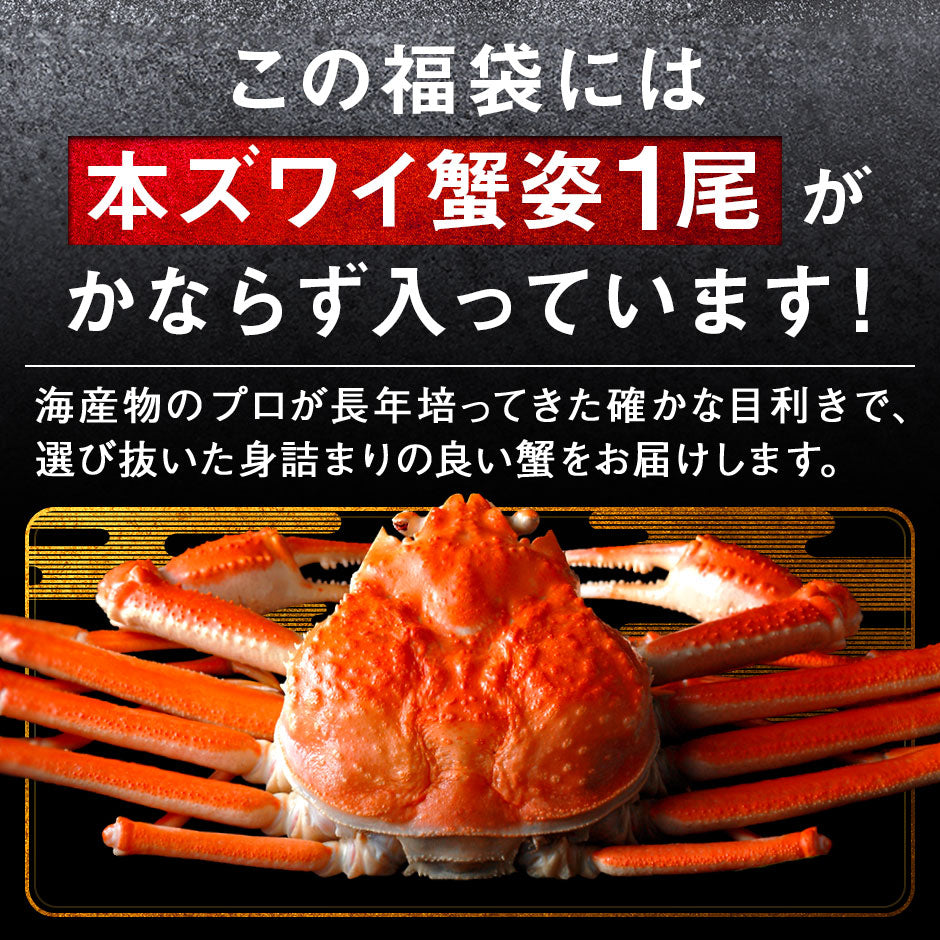 【総重量1.7kg】＼ズワイガニが必ず入る！／2025 北海道 カニ入り海鮮9点福袋 【送料無料】【期間限定】