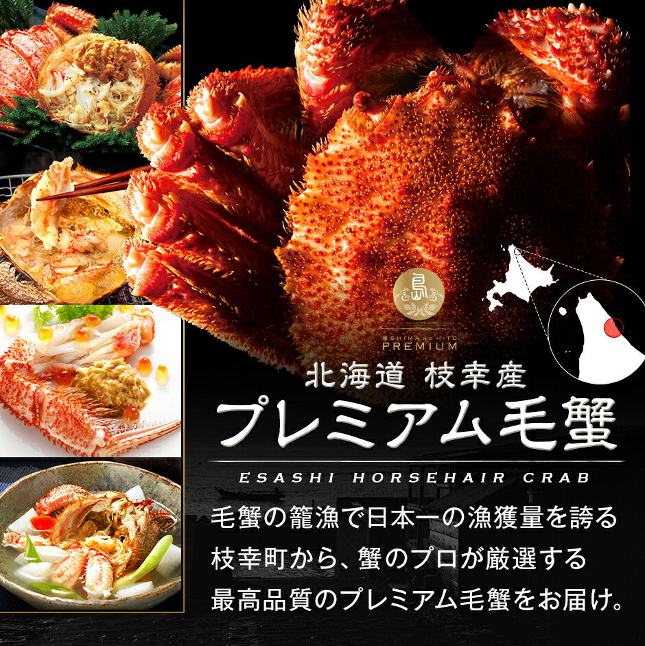 2種のウニと毛蟹が必ず入る12点 海鮮福袋【送料無料】