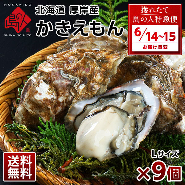 北海道 厚岸産 牡蠣 (カキえもん) 殻付き 9個(M・Lサイズ) 殻むきナイフ付 送料無料