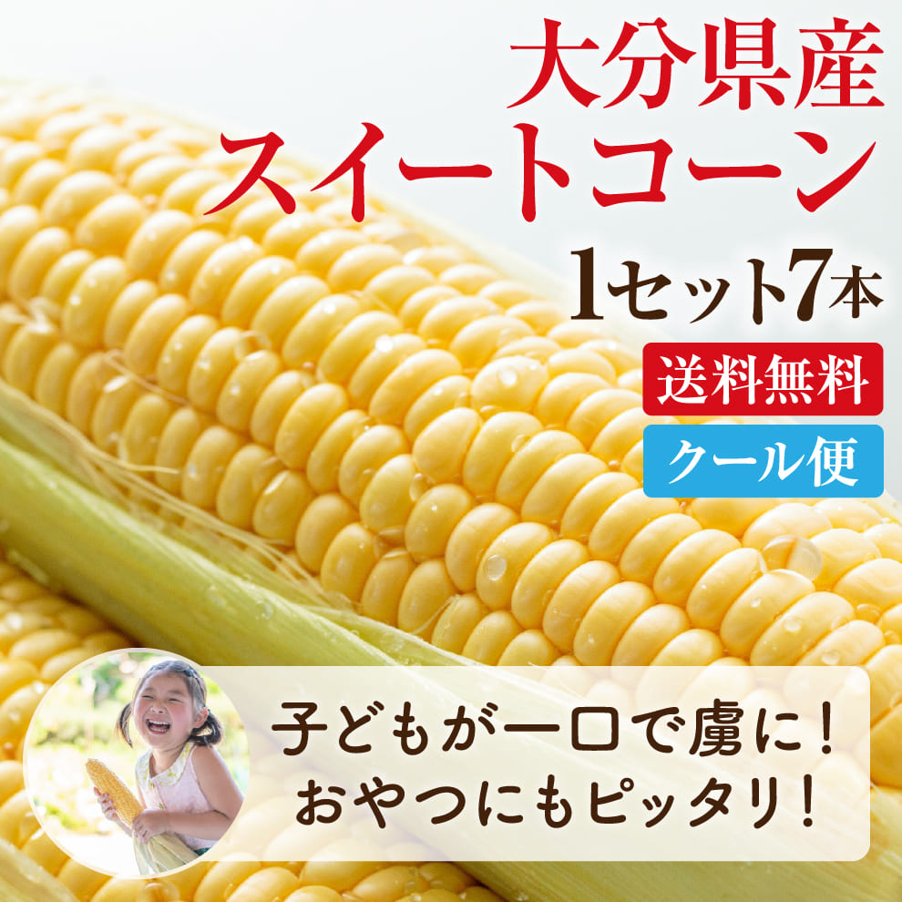 【ついに登場】メロン並みの甘さをもつとうもろこし｜大分県産 朝採れスイートコーン｜先着20セット限定！販売期間：7/12(土)23:59まで｜大分の道の駅で即日完売する世に出回らない逸品です！お中元、贈り物、子どもにも喜ばれる生で食べられるとうもろこしです！