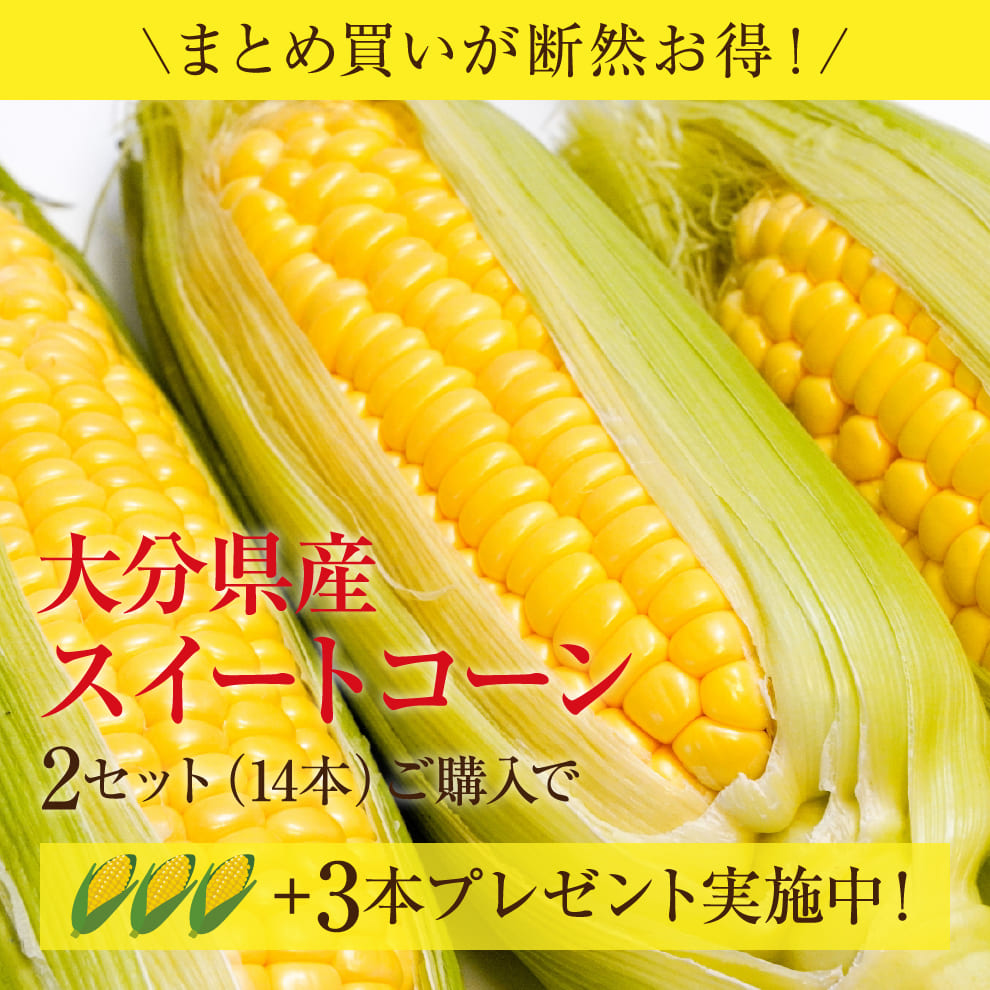 【ついに登場】メロン並みの甘さをもつとうもろこし｜大分県産 朝採れスイートコーン｜先着20セット限定！販売期間：7/12(土)23:59まで｜大分の道の駅で即日完売する世に出回らない逸品です！お中元、贈り物、子どもにも喜ばれる生で食べられるとうもろこしです！