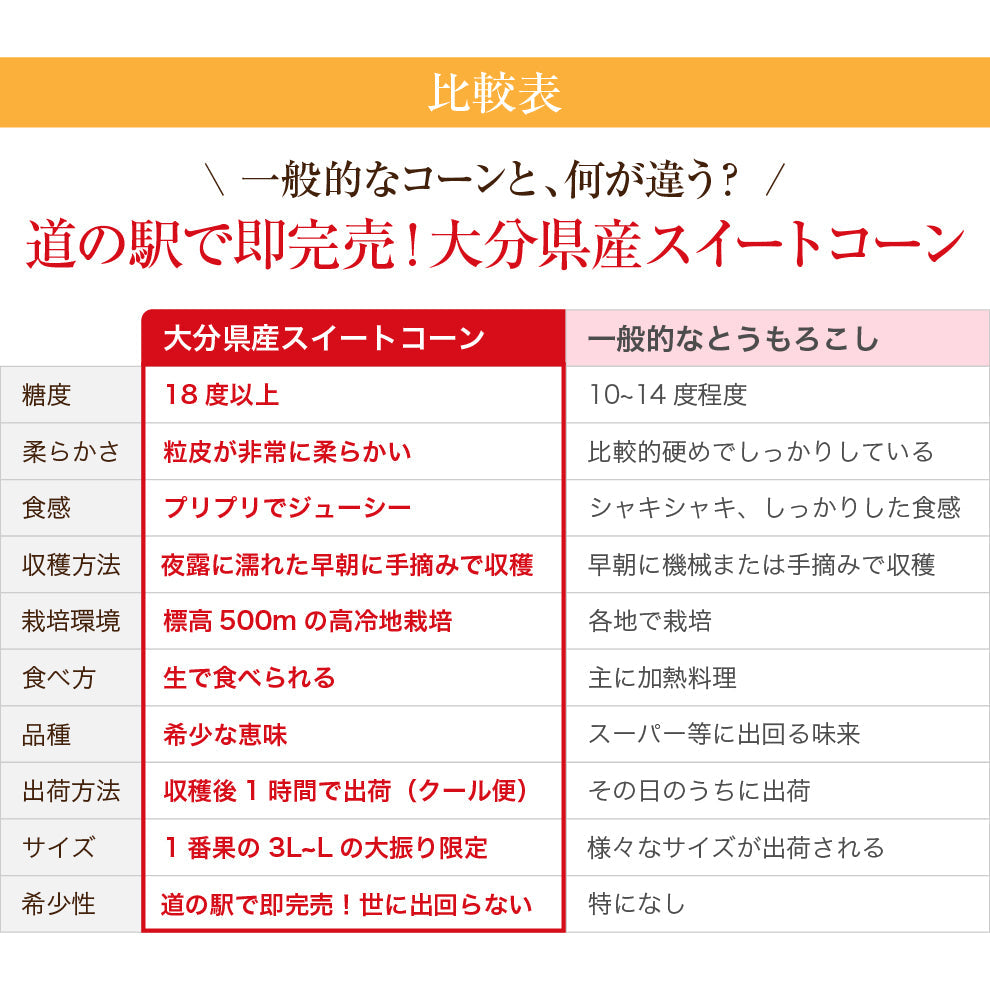 【ついに登場】メロン並みの甘さをもつとうもろこし｜大分県産 朝採れスイートコーン｜先着20セット限定！販売期間：7/12(土)23:59まで｜大分の道の駅で即日完売する世に出回らない逸品です！お中元、贈り物、子どもにも喜ばれる生で食べられるとうもろこしです！
