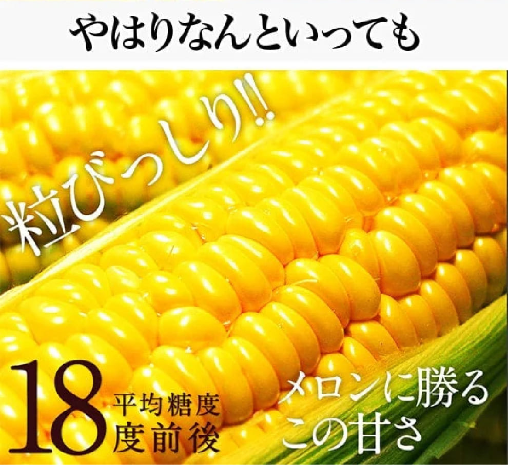 【ついに登場】メロン並みの甘さをもつとうもろこし｜大分県産 朝採れスイートコーン｜先着20セット限定！販売期間：7/12(土)23:59まで｜大分の道の駅で即日完売する世に出回らない逸品です！お中元、贈り物、子どもにも喜ばれる生で食べられるとうもろこしです！