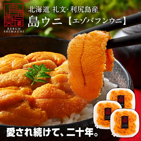 【9月5日～9月6日お届け】うに 北海道 礼文・利尻島産 生エゾバフンウニ 内祝い 雲丹 無添加 生うに 塩水パック 塩水ウニ ギフト グルメ 食品 食べもの 海鮮 海鮮丼 寿司 贈り物 お取り寄せグルメ