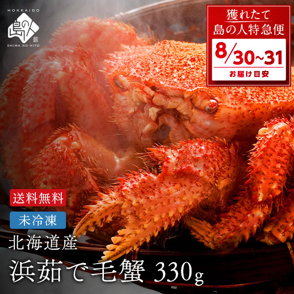 【8月30日〜31日お届け】北海道産 浜茹で 未冷凍 チルド毛ガニ 330g前後 【送料無料】