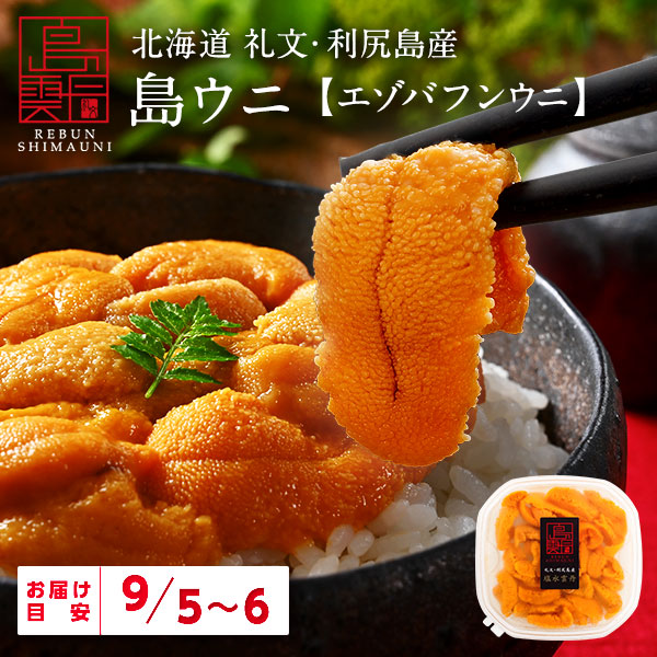 【9月5日～9月6日お届け】うに 北海道 礼文・利尻島産 生エゾバフンウニ 内祝い 雲丹 無添加 生うに 塩水パック 塩水ウニ ギフト グルメ 食品 食べもの 海鮮 海鮮丼 寿司 贈り物 お取り寄せグルメ
