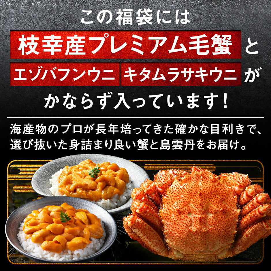 2種のウニと毛蟹が必ず入る12点 海鮮福袋【送料無料】