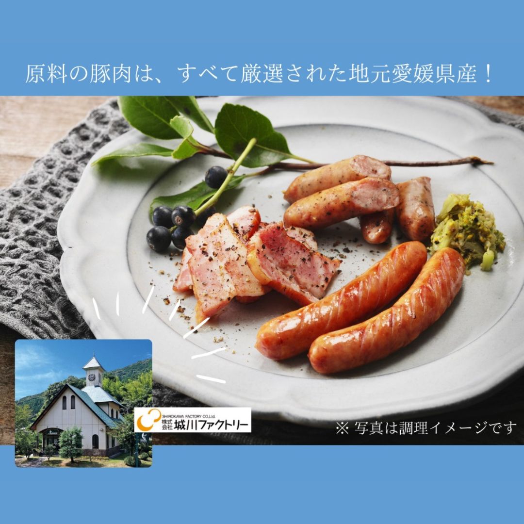 【父の日ギフト】道後ビール・城川ウインナーセット(DBSH-2)父の日ラベル