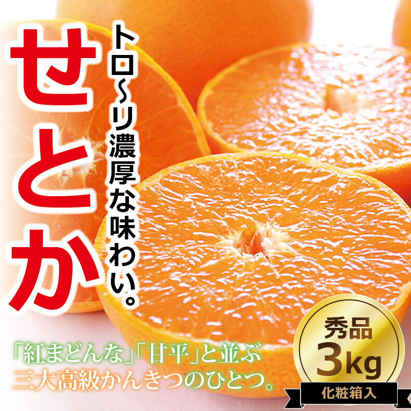 ※今季販売終了※【送料無料】高級ブランドかんきつ「せとか」〈秀品・高級化粧箱入〉約3kg　※発送は２月中旬～３月中旬予定
