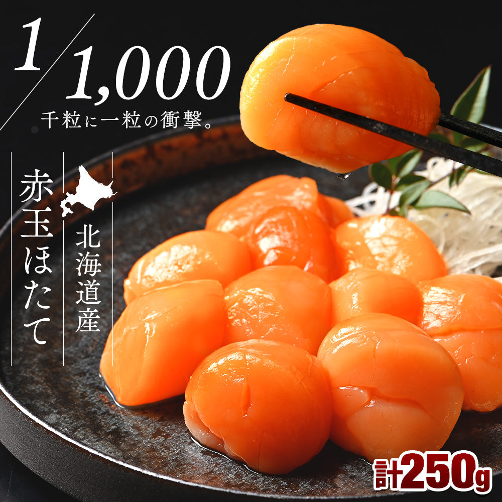 北海道産 お刺身用 赤玉ホタテ貝柱 250g 1000粒に1粒の衝撃