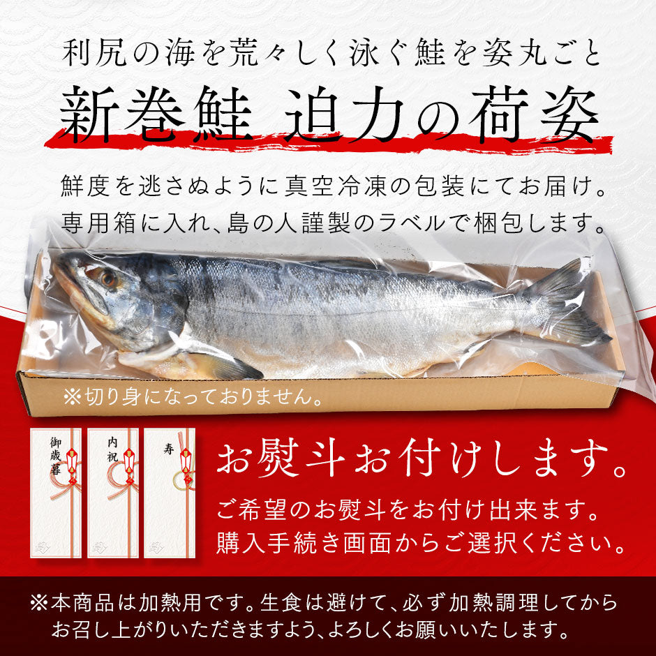 北海道 利尻島産 新巻鮭 手作り熟成仕込み(辛口)【送料無料】