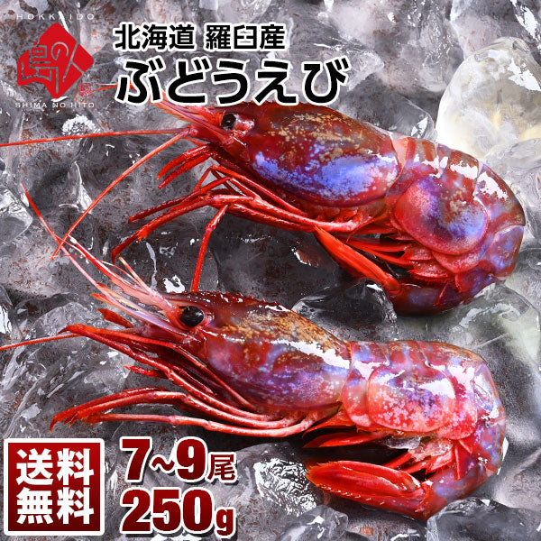 幻のエビ 北海道 羅臼産 ブドウエビ 250g【送料無料】