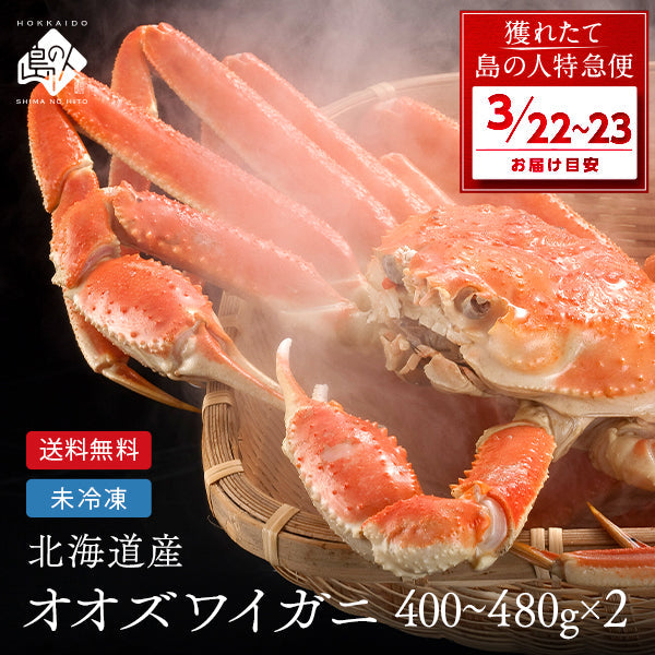 【3月22日～3月23日お届け】未冷凍 北海道産 ボイル済み オオズワイガニ 姿 480g【送料無料】