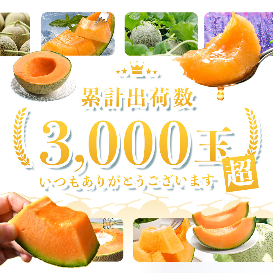 夏ギフト 富良野 メロン 秀品 送料無料 北海道 産地直送 フルーツ 果物【農作物】【島の人】【お取り寄せグルメ】御中元 お取り寄せグルメ ギフト 北海道 食べ物 食品 ふらの 果物 グルメ フルーツ