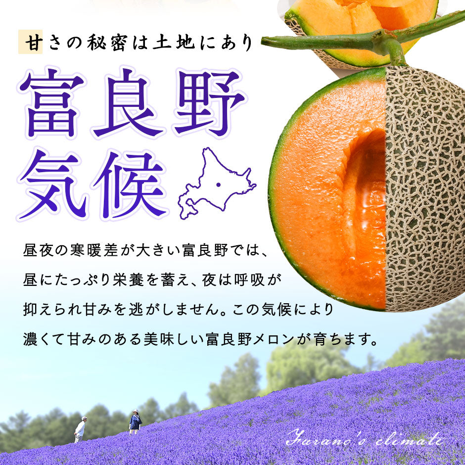 夏ギフト 富良野 メロン 秀品 送料無料 北海道 産地直送 フルーツ 果物【農作物】【島の人】【お取り寄せグルメ】御中元 お取り寄せグルメ ギフト 北海道 食べ物 食品 ふらの 果物 グルメ フルーツ