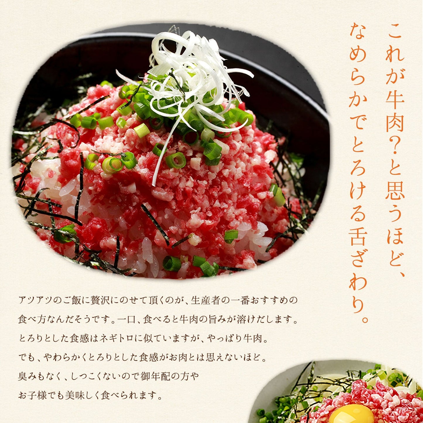 牛とろフレーク 十勝スロウフード　280g　北海道 牛肉 牛フレーク【送料無料】