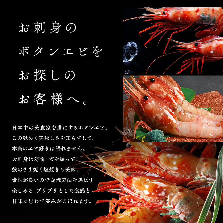 北海道産 お刺身ボタンエビ 500g（9-11尾サイズ／12-14尾サイズ／訳あり無選別）【送料無料】