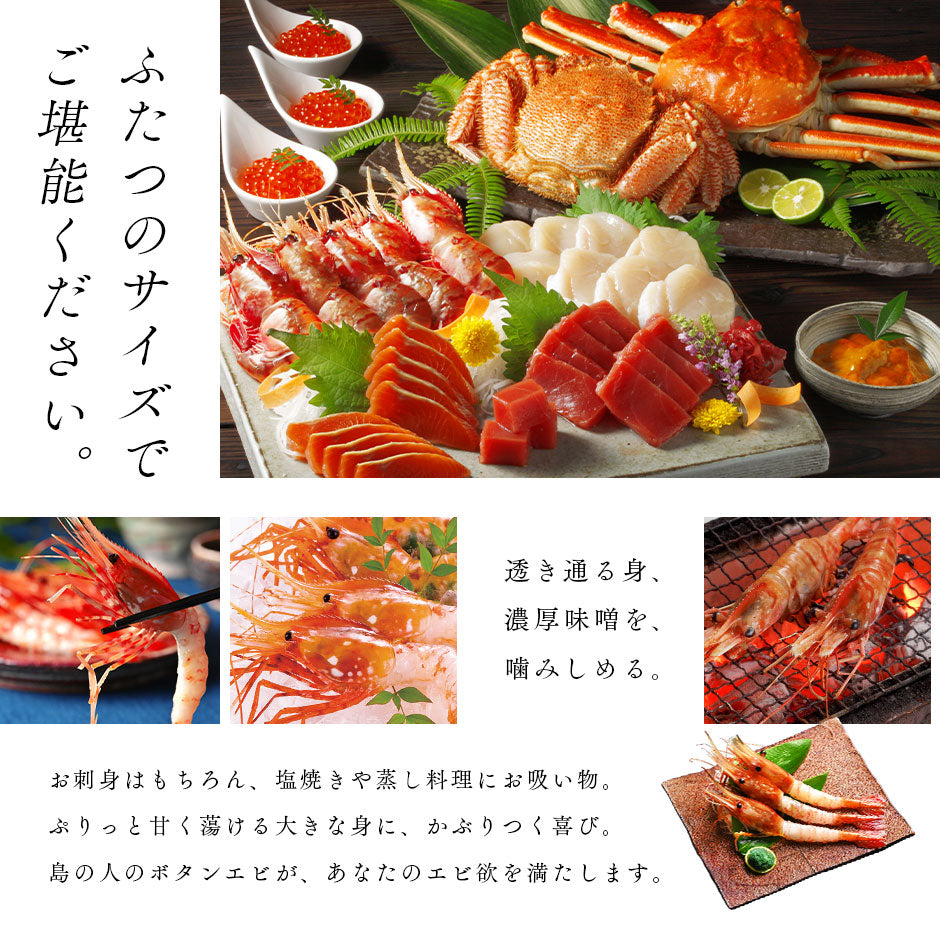 北海道産 お刺身ボタンエビ 500g（9-11尾サイズ／12-14尾サイズ／訳あり無選別）【送料無料】