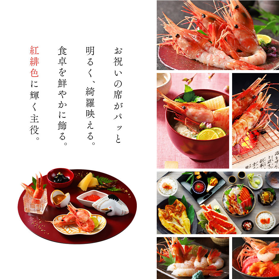 北海道産 お刺身ボタンエビ 500g（9-11尾サイズ／12-14尾サイズ／訳あり無選別）【送料無料】