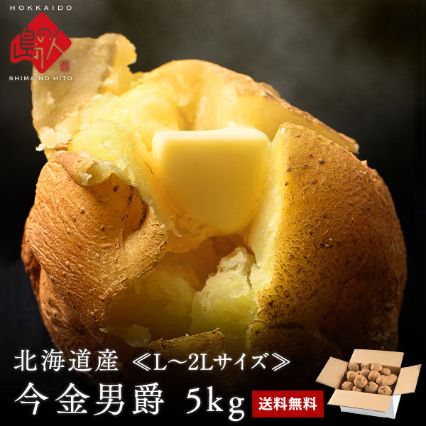 ＼幻のじゃがいも／北海道産 今金男爵 L～2Lサイズ【送料無料】