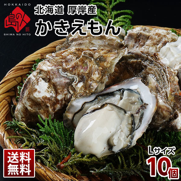 【水揚げ次第お届け】北海道 厚岸産 牡蠣 (カキえもん) 殻付き 10個 殻むきナイフ付 送料無料