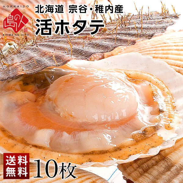 北海道 宗谷・稚内産 活ホタテ 10枚【送料無料】