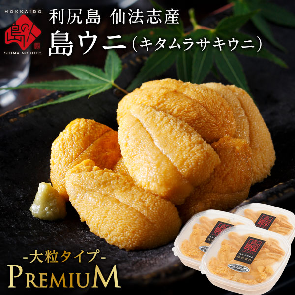 【新物予約】北海道 利尻島 仙法志産 プレミアム生キタムラサキウニ【送料無料】