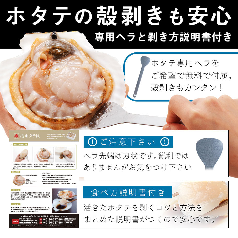 北海道 野付産 活ホタテ 6枚（1.8-2.1kg程度）【送料無料】未冷凍 生食OK！バーベキューにも!
