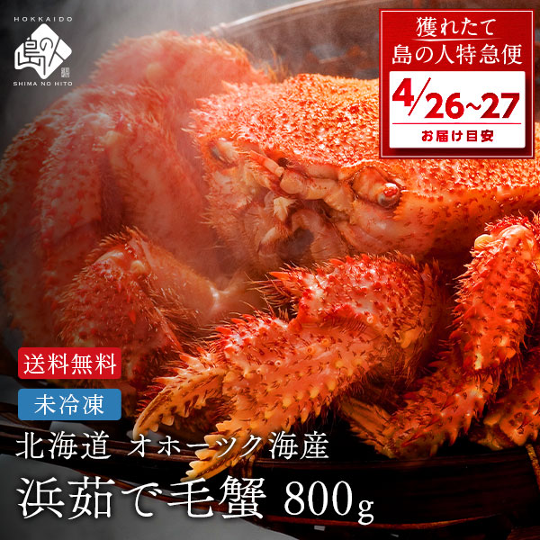 【4月26日～4月27日お届け】浜茹で 未冷凍 流氷明け毛ガニ(オホーツク海産) 800g前後 【送料無料】