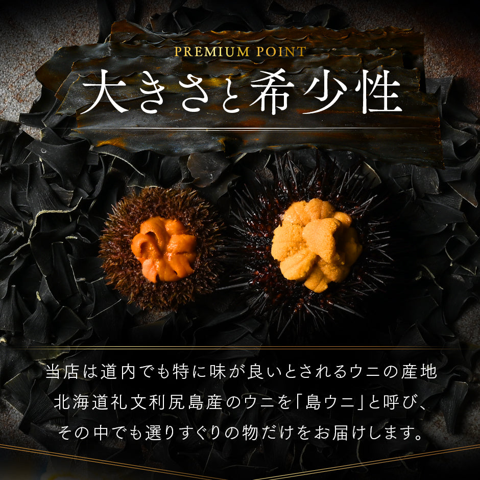 【新物予約】北海道 利尻島 仙法志産 プレミアム生キタムラサキウニ【送料無料】