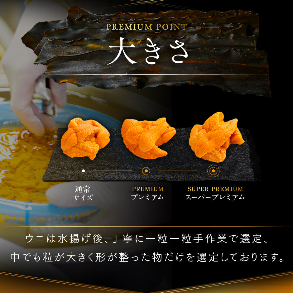 【新物予約】北海道 利尻島 仙法志産 プレミアム生キタムラサキウニ【送料無料】