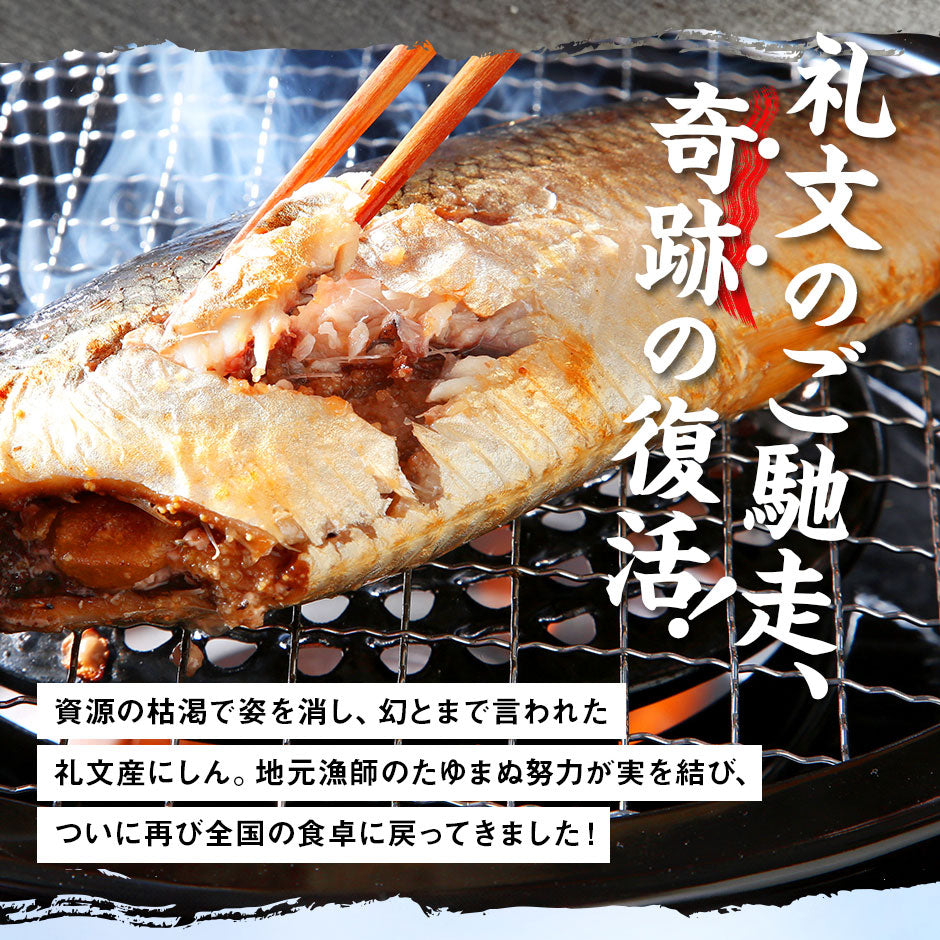 【新商品】礼文島産 ひと塩ニシン 1尾あたり350g前後【10尾購入で送料無料】【白子or数の子入り)】
