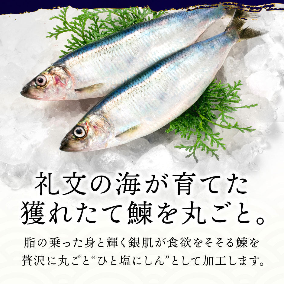 【新商品】礼文島産 ひと塩ニシン 1尾あたり350g前後【10尾購入で送料無料】【白子or数の子入り)】