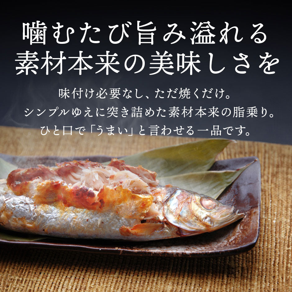 【新商品】礼文島産 ひと塩ニシン 1尾あたり350g前後【10尾購入で送料無料】【白子or数の子入り)】