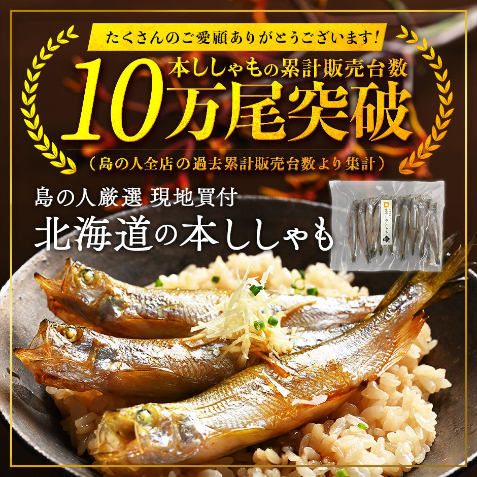【肉厚・濃厚！】北海道産 本ししゃも　オス・メス　10尾入り