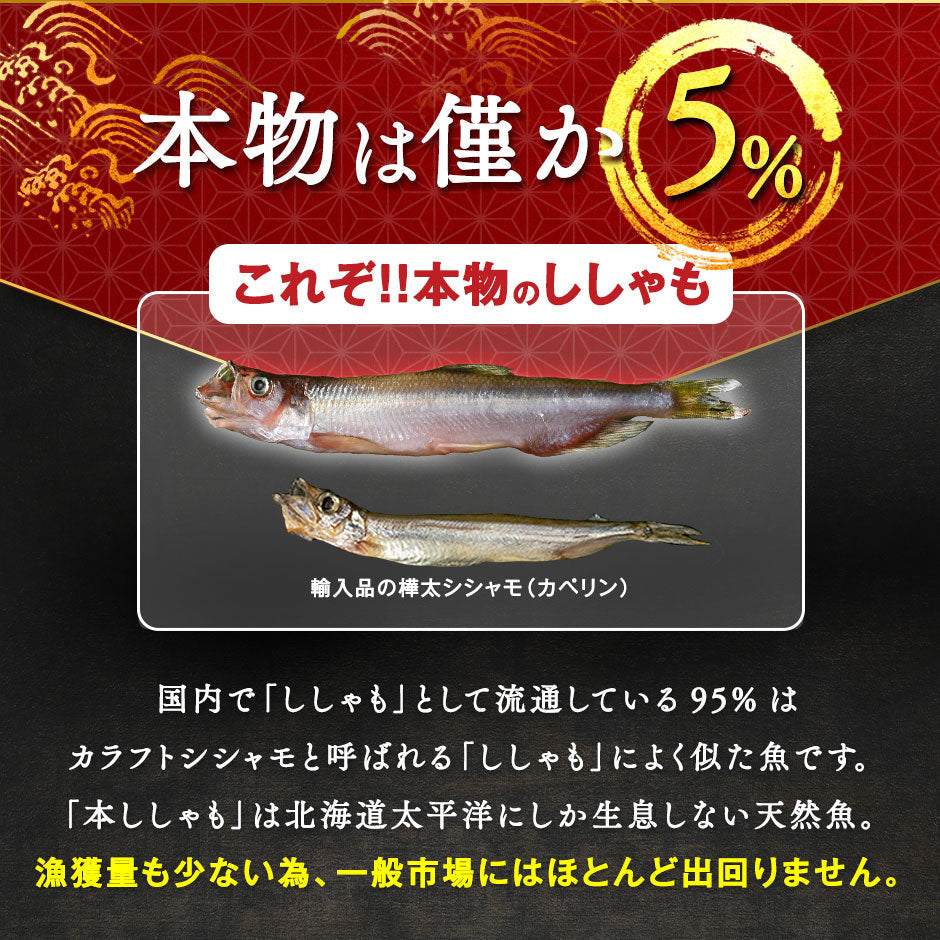 【肉厚・濃厚！】北海道産 本ししゃも　オス・メス食べ比べ【送料無料】