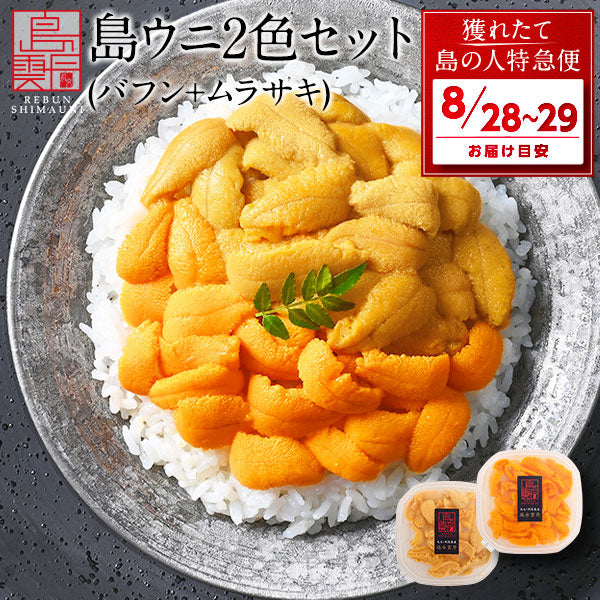 【8月28日～8月29日お届け】うに 北海道 礼文・利尻島産 島うに 2色食べ比べセット 生エゾバフンウニ・キタムラサキウニ【送料無料】 お中元 内祝い 雲丹 無添加 生うに 塩水パック 塩水ウニ ギフト グルメ 食品 海鮮 海鮮丼 お取り寄せグルメ