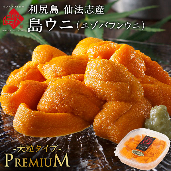 うに 北海道 利尻島 仙法志産 プレミアム 生エゾバフンウニ【送料無料】