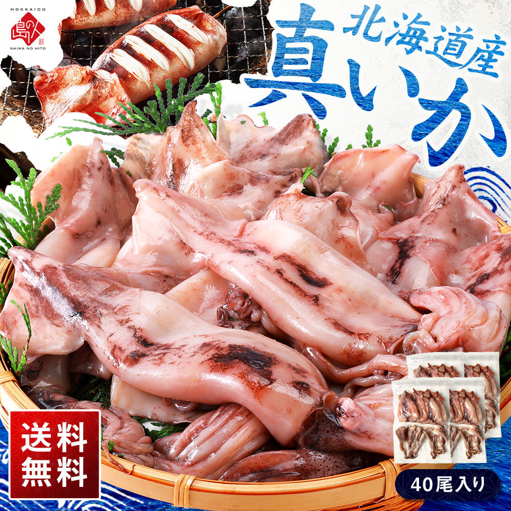北海道産 真イカ(お手頃サイズ)　10尾入×4セット　※丸ごと（丸魚）【送料無料】