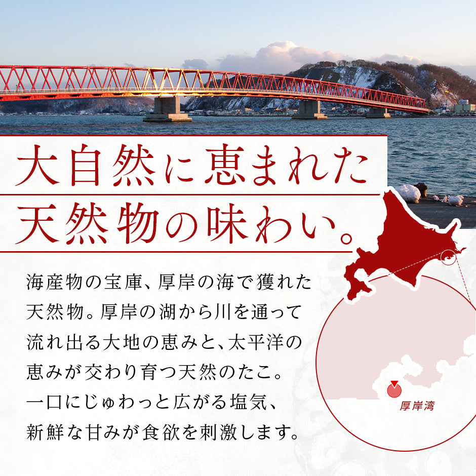 北海道 厚岸産 やわらか天然生たこしゃぶ 500g【送料無料】 北海道 お土産 お取り寄せ  ギフト たこ タコ