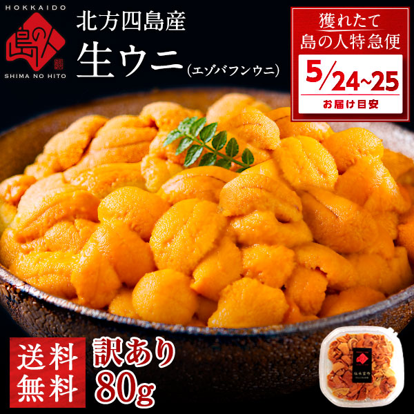 【5月24日～5月25日お届け】うに 北方四島産 天然生エゾバフンウニ 80g 【色が赤い訳あり品】【送料無料】