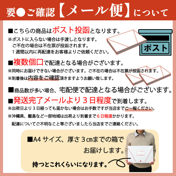 【お試し】【送料込】十割出雲乾そば(そばつゆ付)【メール便】